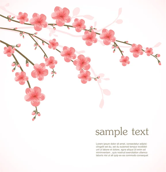 Tarjeta de flor de cerezo — Vector de stock