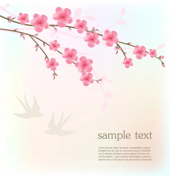 Tarjeta de flor de cerezo — Archivo Imágenes Vectoriales