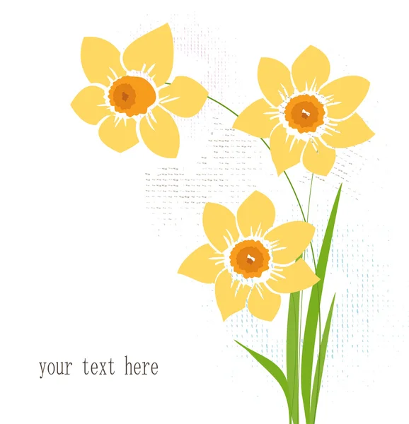 Wenskaart met narcissus — Stockvector