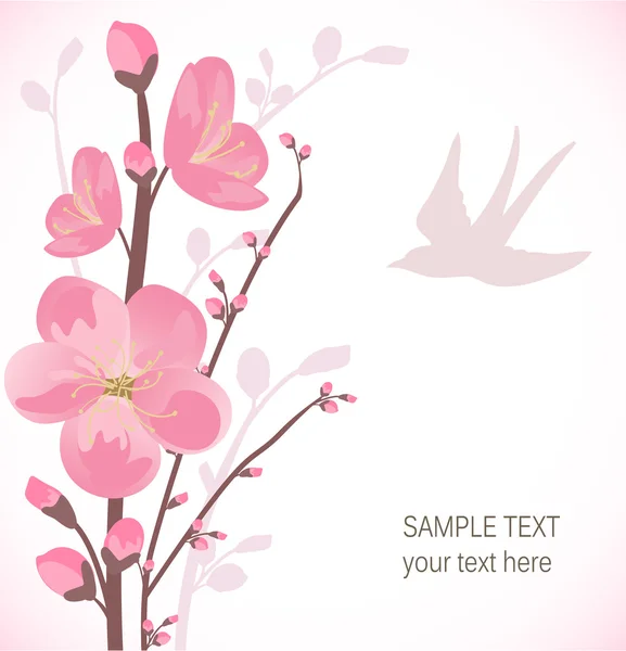 Cartão de flor de cereja — Vetor de Stock