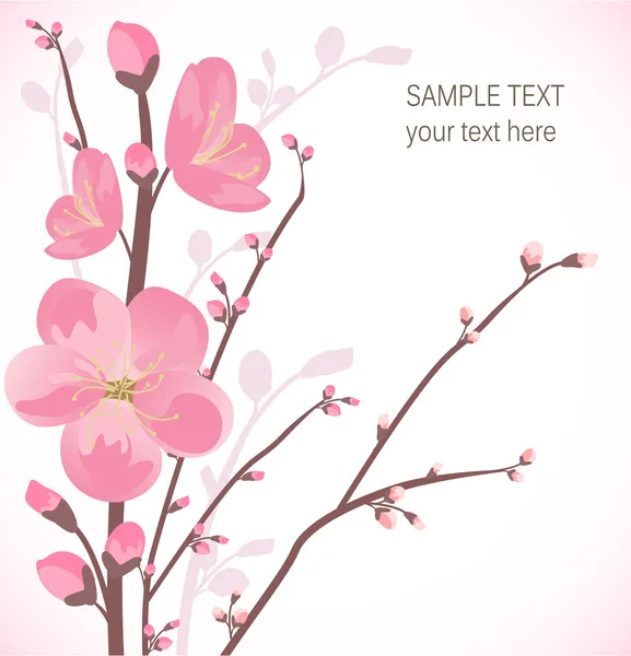 Cherry blossom card — Stock Vector