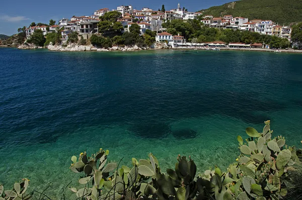 Skiathos 파노라마 — 스톡 사진