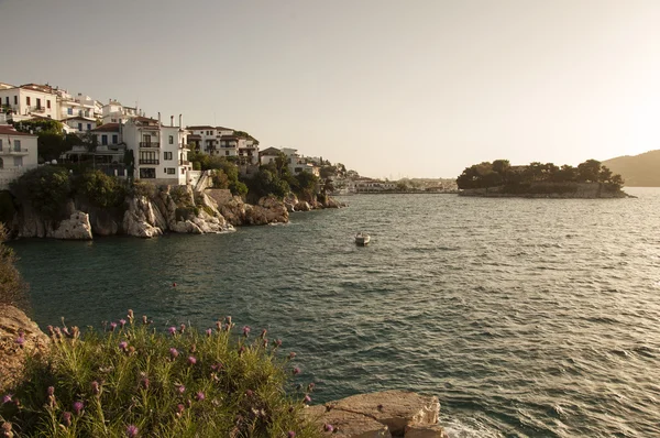 Skiathos panorama — Stock Photo, Image