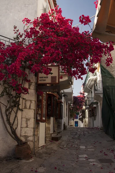 Skiathos sokak