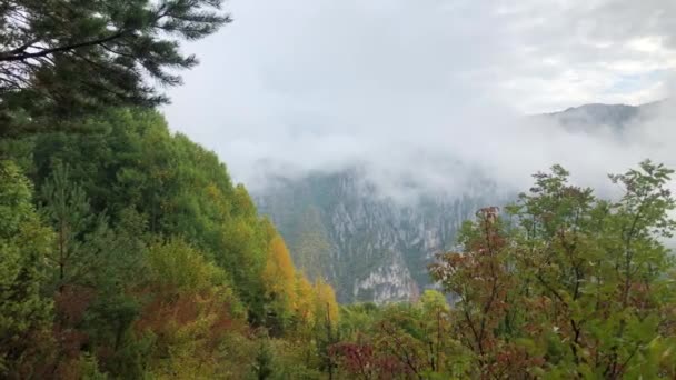 山の中で雨の後に雲が動く — ストック動画