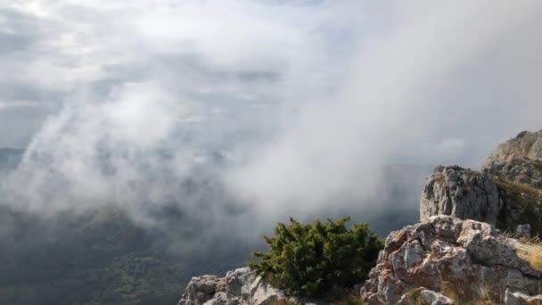 Nuvens Que Movem Depois Chuva Nas Montanhas — Vídeo de Stock