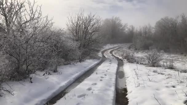 晴れた冬の日には山の中の雪道を歩く — ストック動画