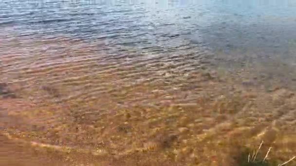 Vista Água Rasa Com Ondulações Lago Dia Ensolarado Verão — Vídeo de Stock