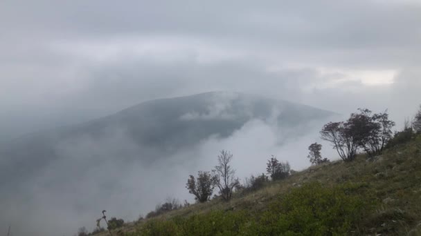 Utsikt Från Bergssluttningen Vid Låga Moln Som Rör Sig Ravinen — Stockvideo