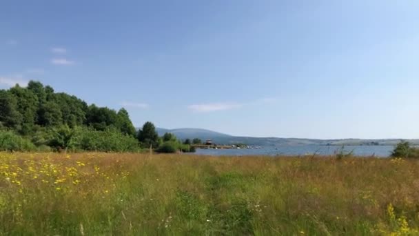 晴れた夏の日には畑を歩いて湖に近づく — ストック動画
