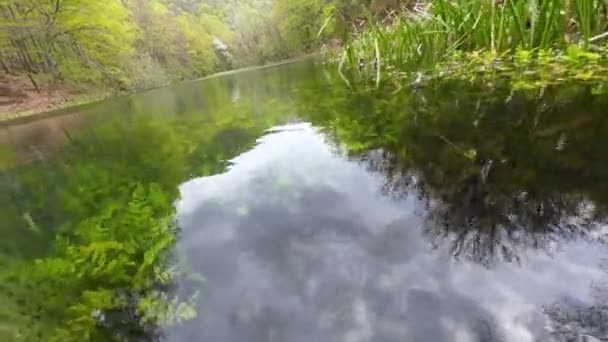 Vista Plantas Subaquáticas Lago Verde Esmeralda Com Água Cristalina Transparente — Vídeo de Stock