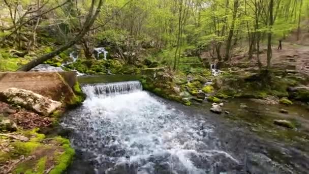 Waterfall Many Cascades Stream Flowing Rocks Covered Moss — Vídeo de Stock