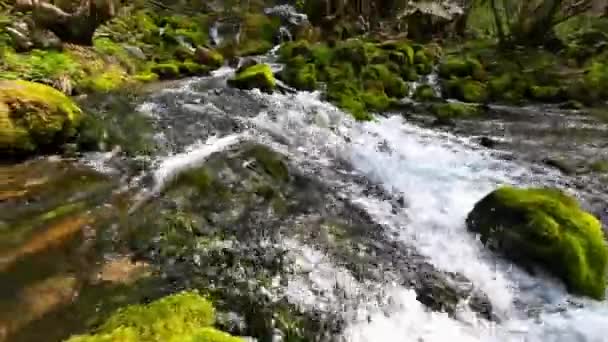 Waterfall Many Cascades Stream Flowing Rocks Covered Moss — Vídeo de Stock