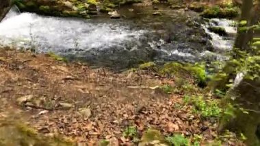 Şelale ve akarsu yosunlarla kaplı kayaların üzerinden akıyor.