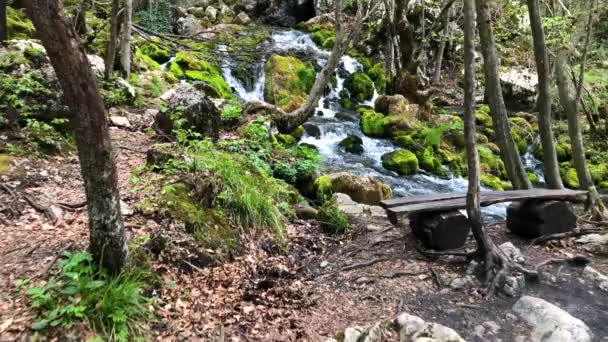 Waterfall Many Cascades Stream Flowing Rocks Covered Moss — Stockvideo