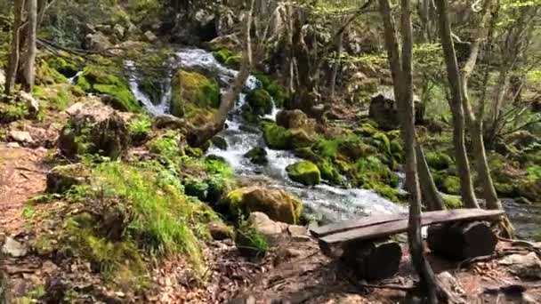 Waterfall Many Cascades Stream Flowing Rocks Covered Moss — Stok video