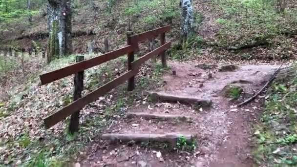 Walking Wooden Stairs Forest — Stok video