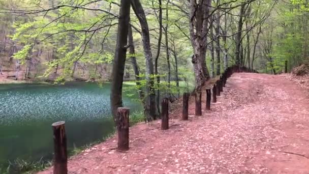 Walking Emerald Green Lake Crystal Clear Water Deep Woods — ストック動画