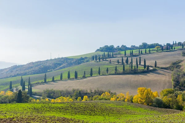 Typical beautiful Tuscan landscape — Stock Photo, Image