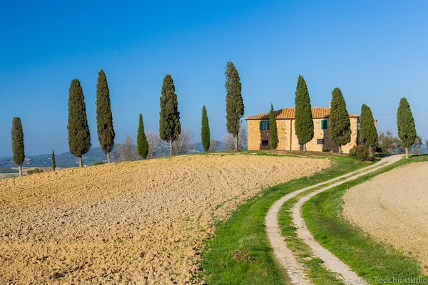 Typisch schöne toskanische Landschaft — Stockfoto