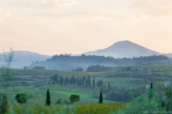 Tuscan landscape — Stock Photo, Image
