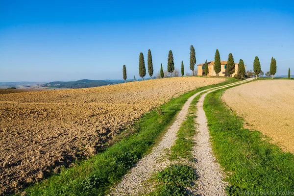 Tipico bellissimo paesaggio toscano — Foto Stock