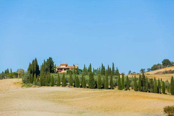 Toskanische Landschaft — Stockfoto