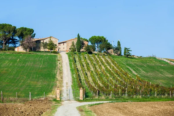 Paisaje toscano — Foto de Stock