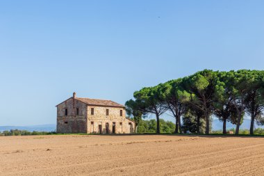 Tipik güzel Toskana landscap
