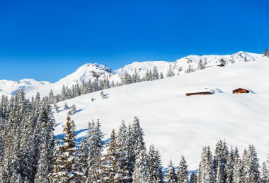 Ski resort schladming. Avusturya