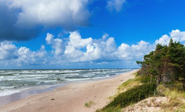 Beautiful scenic view of Baltic sea clipart