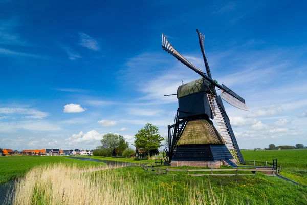 Dutch windmill. Netherlands — Stock Photo, Image