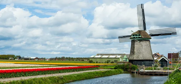 Springtime In Holland — Stock Photo, Image