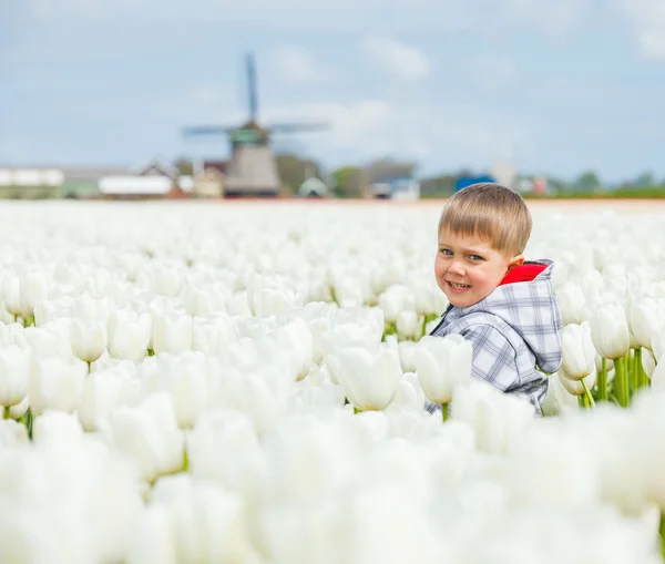 Niño en el campo de tulipanes —  Fotos de Stock