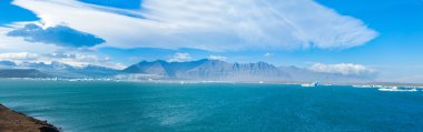 jokulsarlon buzul göl