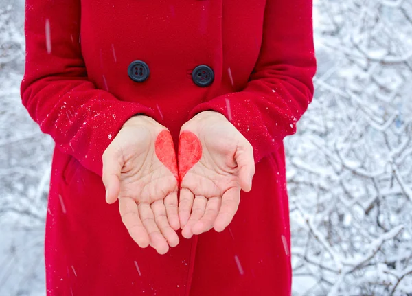 Coeur dans les mains — Photo