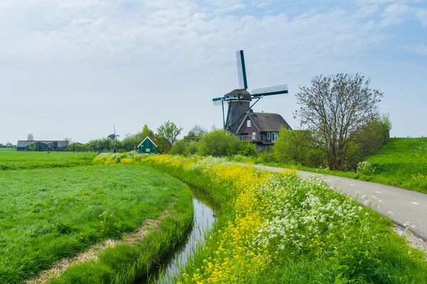 Holland väderkvarn — Stockfoto