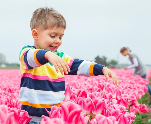 A fiú tulipán mező — Stock Fotó