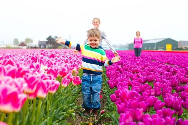 Pojken med familj i fältet lila tulpaner — Stockfoto
