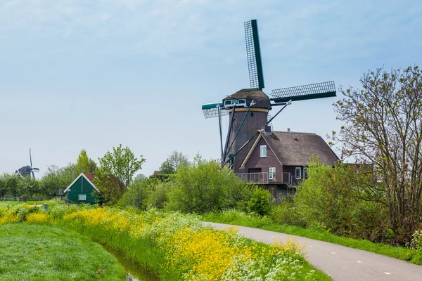 Holandsko větrný mlýn — Stock fotografie