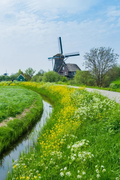 Holanda Molino de viento — Foto de Stock