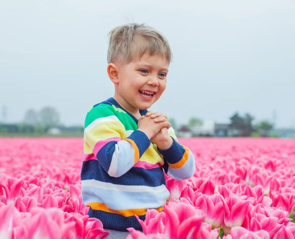Chłopiec w pola tulipanów — Zdjęcie stockowe