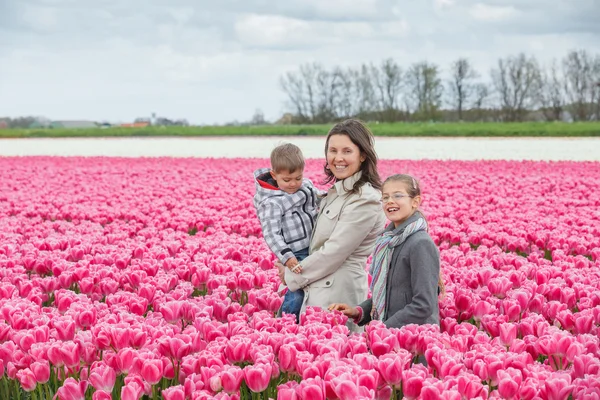 Family and tulips field — Stock Photo, Image