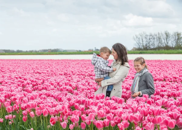 Familia y campo de tulipanes —  Fotos de Stock