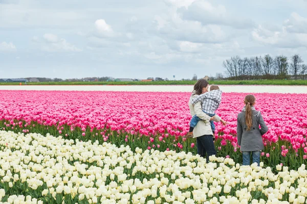 Family and tulips field — Stock Photo, Image