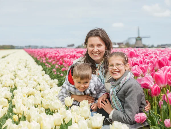 Family and tulips field Stock Image