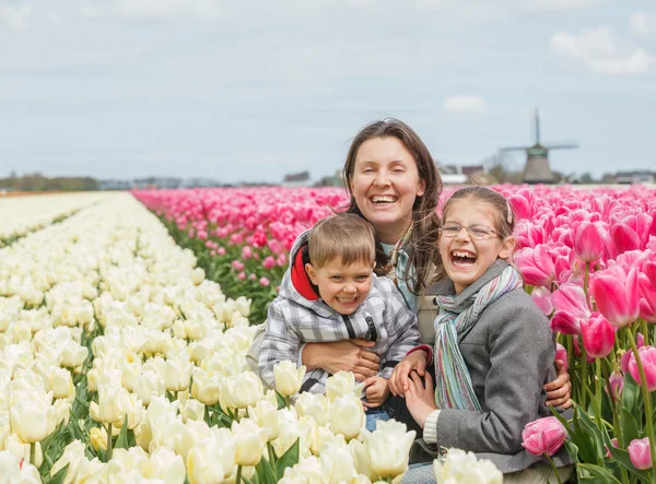 Family and tulips field Royalty Free Stock Images