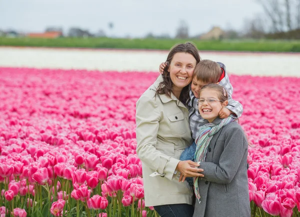 Family and tulips field Royalty Free Stock Photos