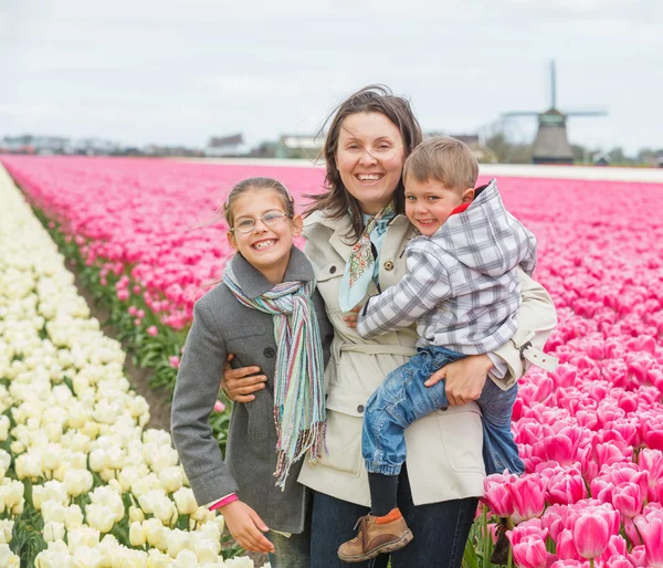 Family and tulips field — Stock Photo, Image