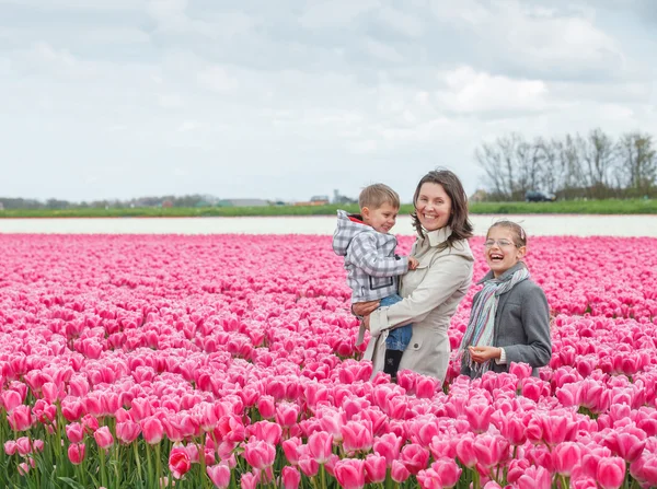 Family and tulips field — Stock Photo, Image